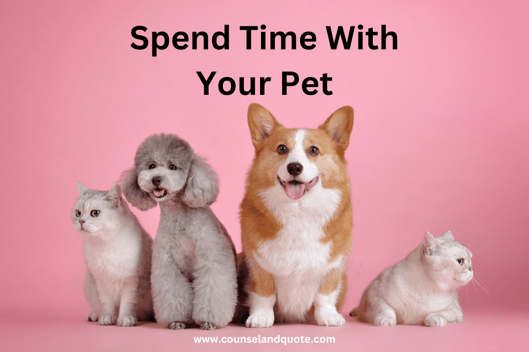 Pets will accompany you.