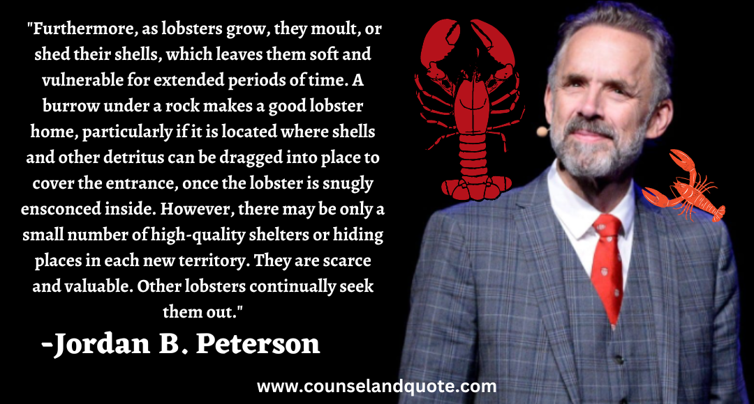 10 Furthermore, as lobsters grow, they moult, or shed their shells, which leaves them soft and vulnerables