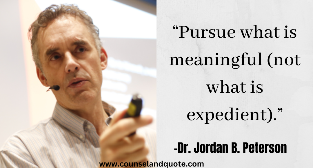 10 “Pursue what is meaningful (not what is expedient).” Jordan Peterson Quotes On Life & Success