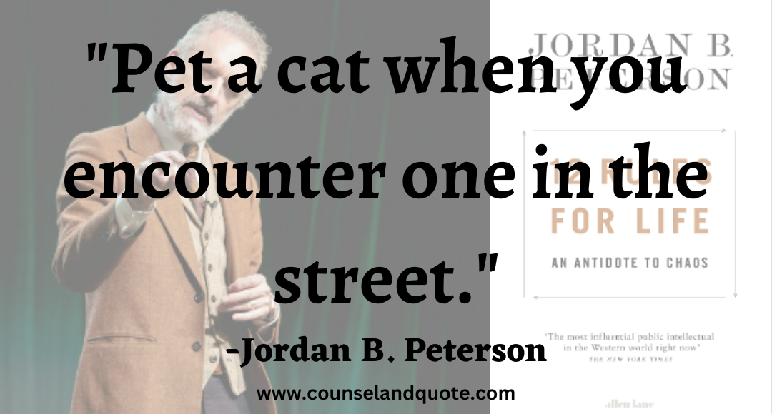 12 Pet a cat when you encounter one in the street.