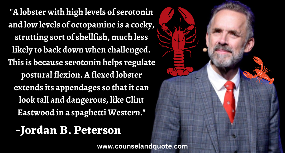 16 A lobster with high levels of serotonin and low levels of octopamine is a cocky,