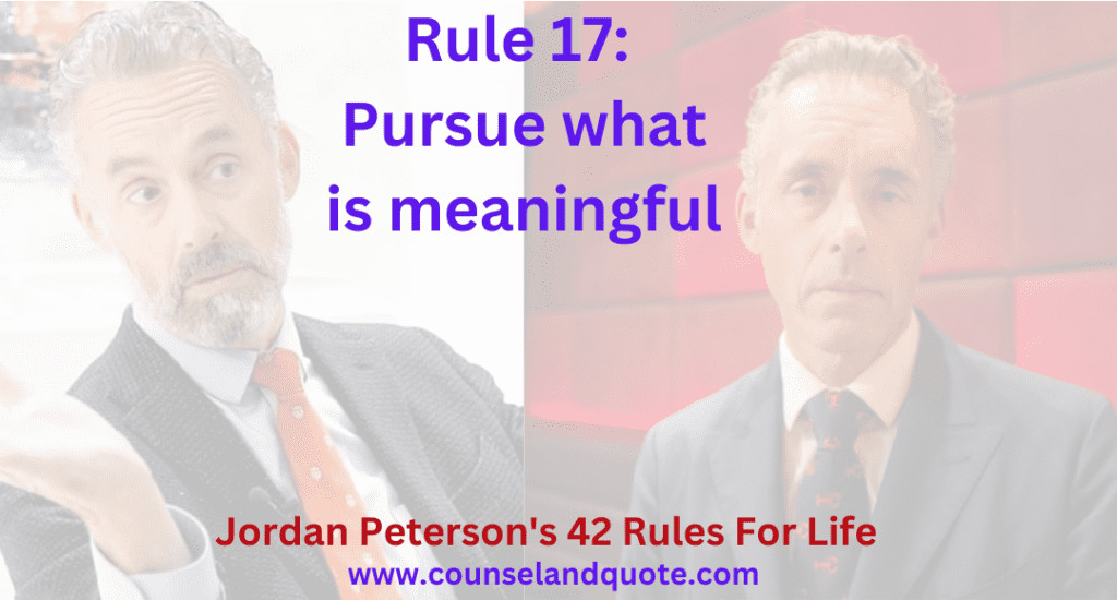 Rule 17 Pursue what is meaningful