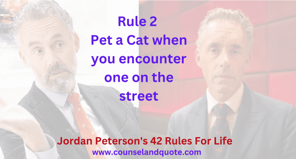 Rule 2 Pet a Cat when you encounter one on the street