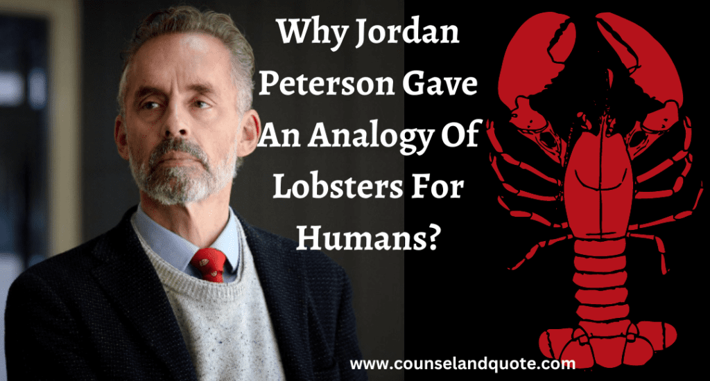 25 Best Jordan Peterson Lobster Quotes
