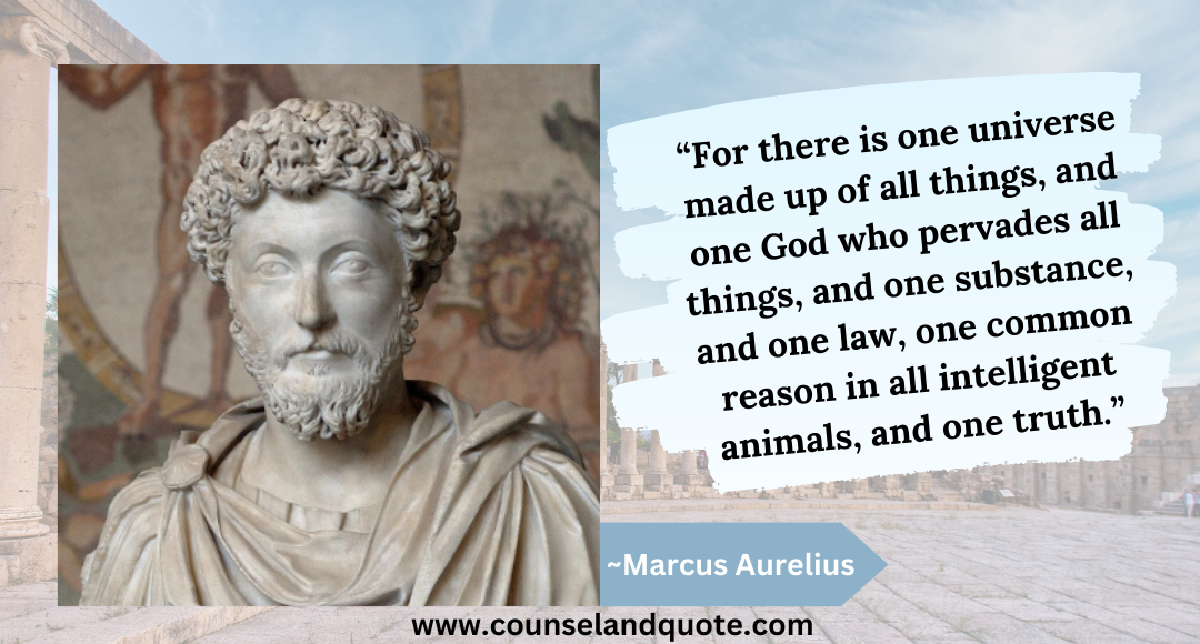 1 For there is one universe made up of all things, and one God who pervades all things- Marcus Aurelius
