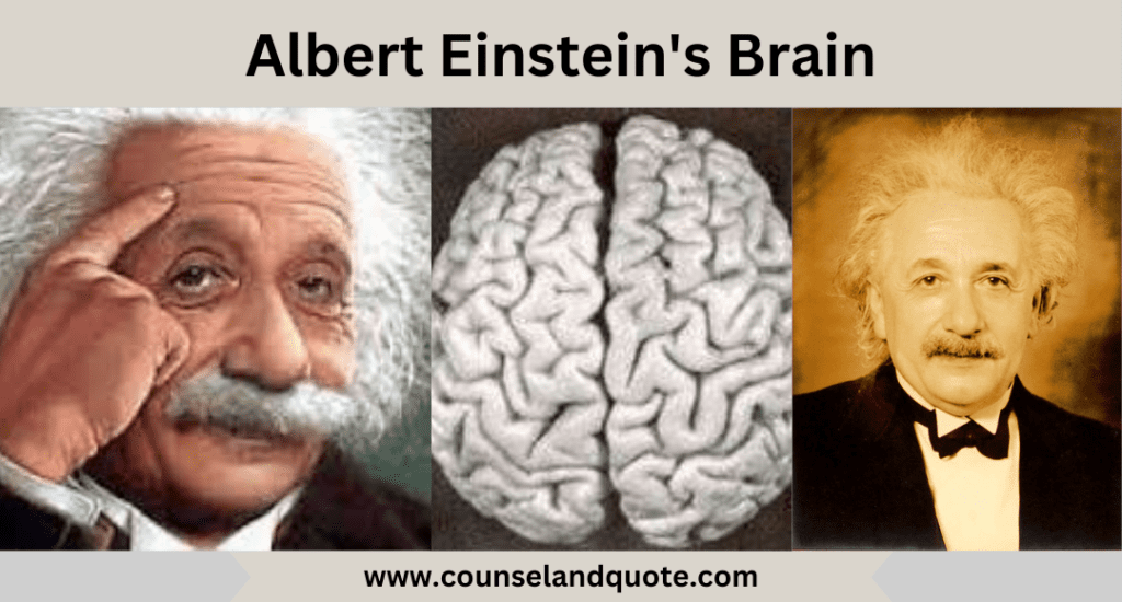 Albert Einstein's Brain