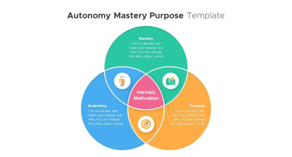 Autonomy Mastery Purpose