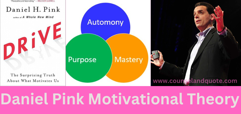Daniel Pink Motivational Theory