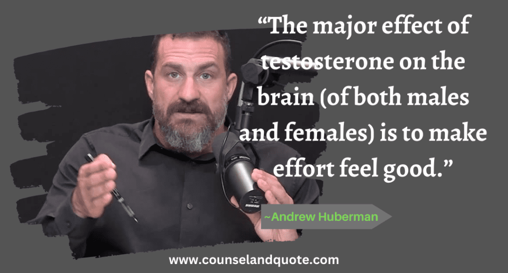 36 “The major effect of testosterone on the brain