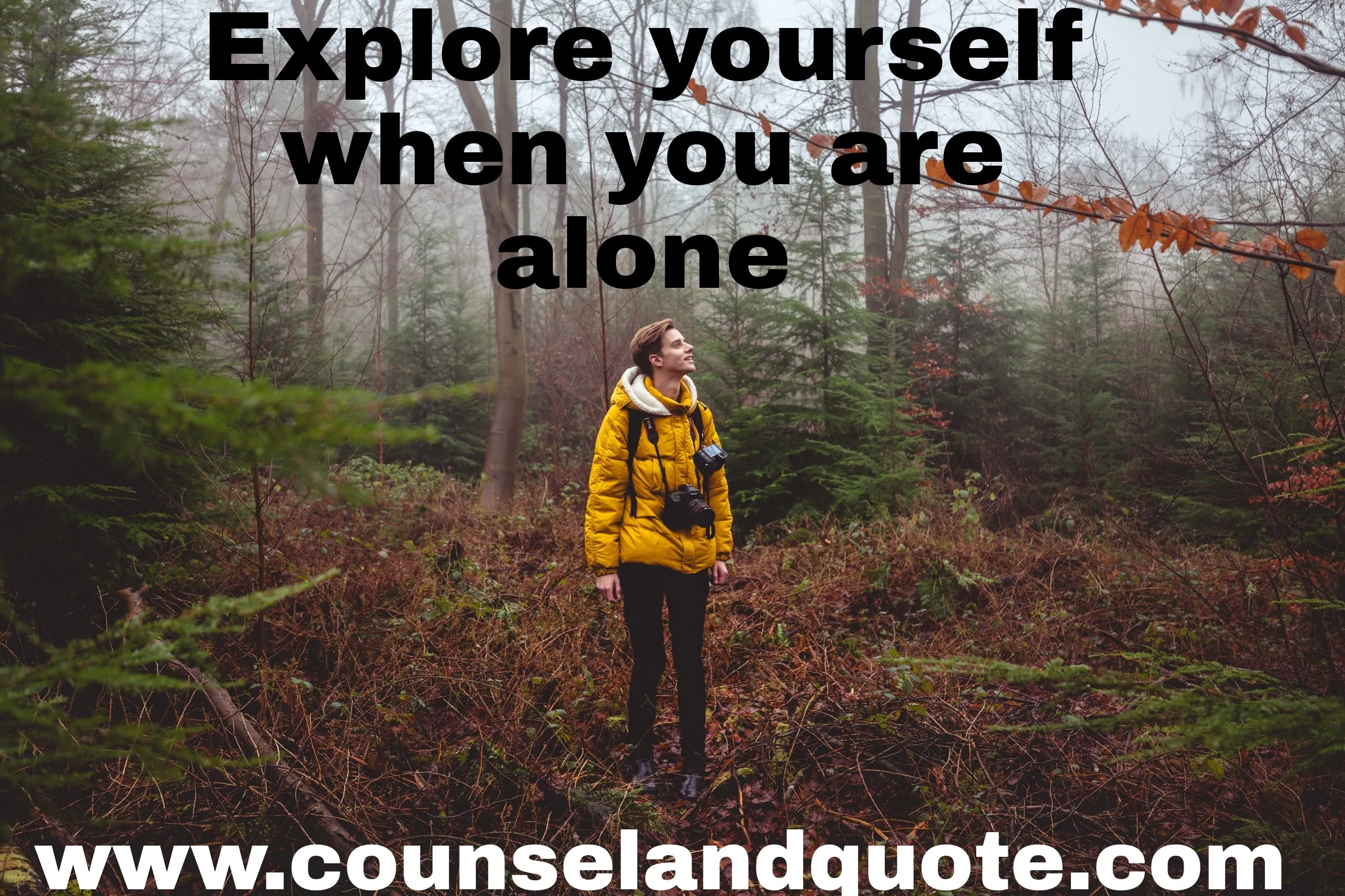 how to live a happy life alone 1
