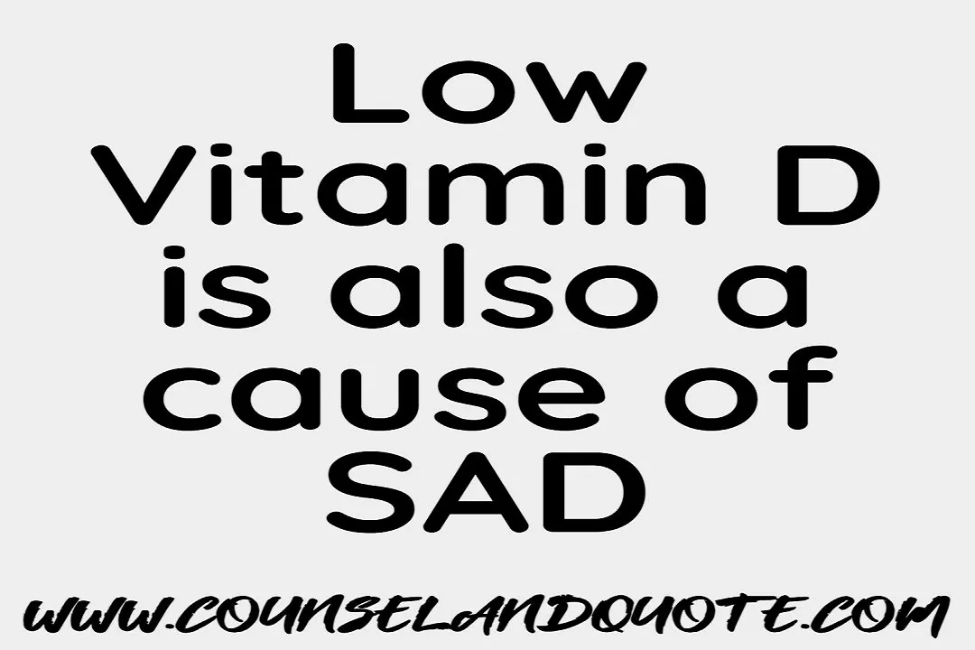 Seasonal Affective Disorder Causes 4