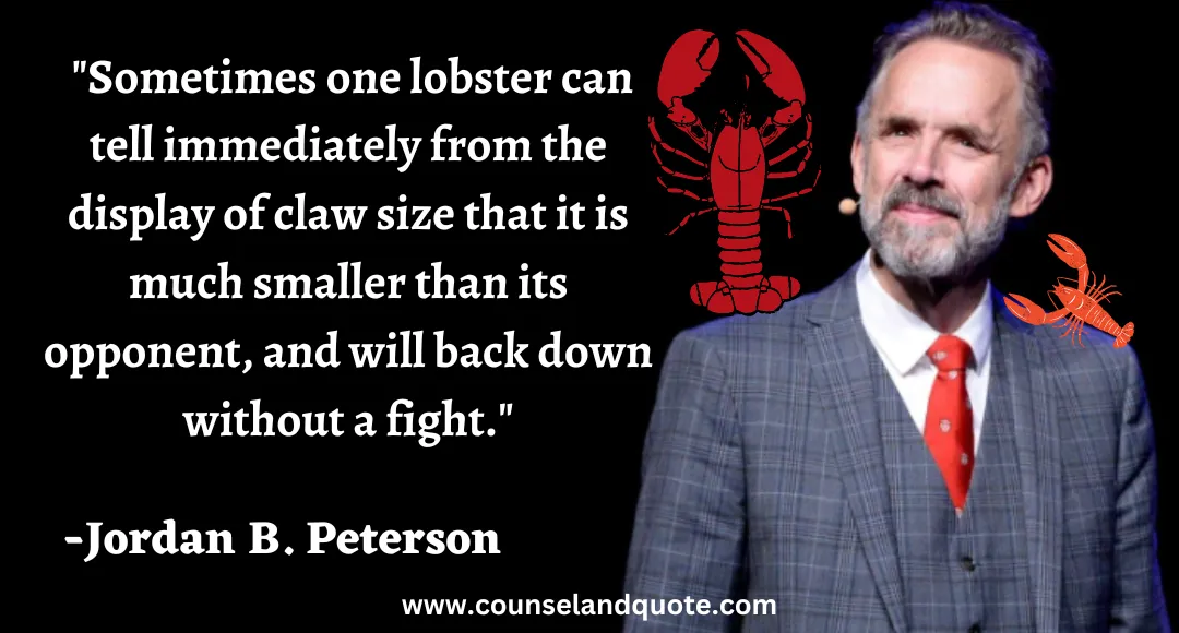 11 Sometimes one lobster can tell immediately from the display of claw size that it is much smaller than its opponent, and will back down without a fight.