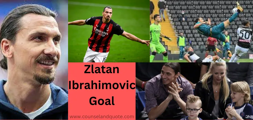 Zlatan Ibrahimovic Goal